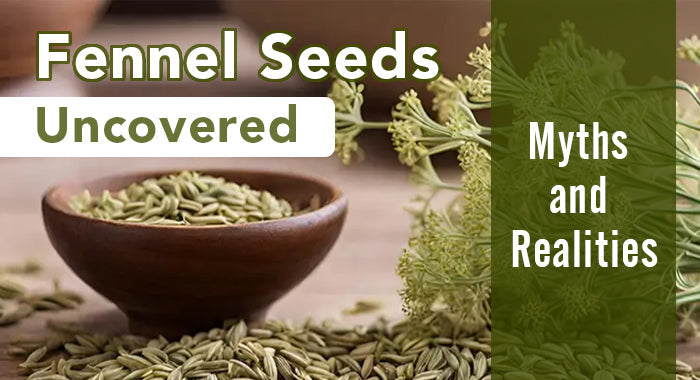 Fennel Seeds Uncovered: Myths and Realities