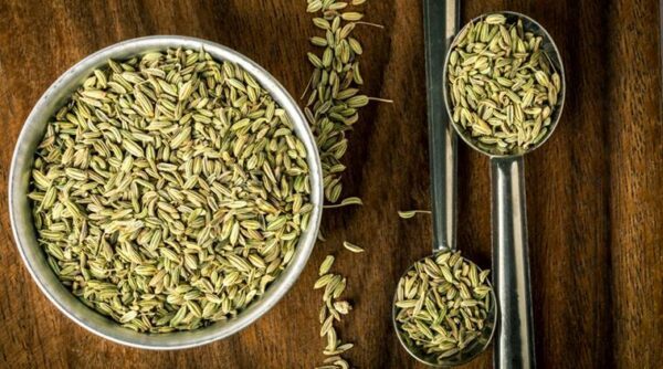 How to overcome myths about FENNEL SEEDS